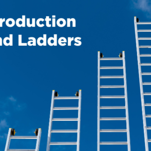An Introduction to Bond Ladders